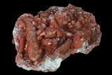 Natural, Red Quartz Crystal Cluster - Morocco #158449-1